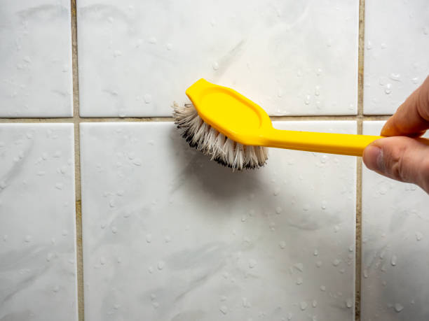 Best Local Mold Removal Service  in Lincoln Rk, PA