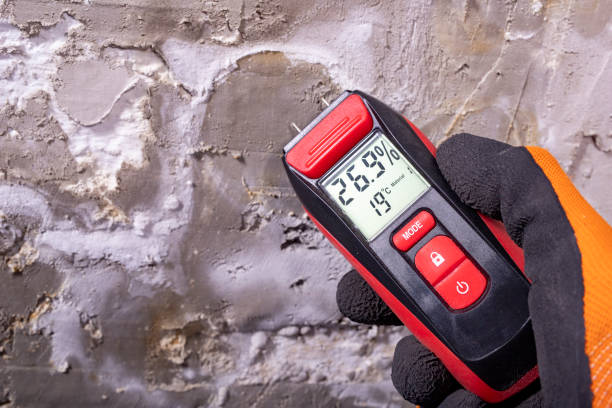 Best Commercial Mold Removal  in Lincoln Rk, PA