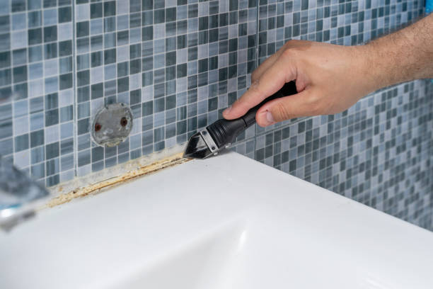 Best Mold Remediation Experts  in Lincoln Rk, PA