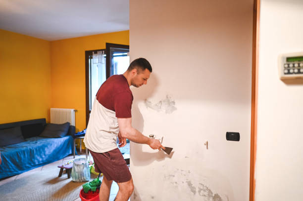 Best Local Mold Removal Service  in Lincoln Rk, PA