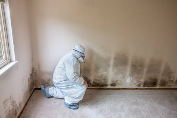 Best Certified Mold Removal  in Lincoln Rk, PA