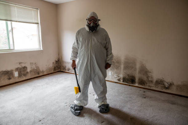 Best Attic Mold Removal  in Lincoln Rk, PA